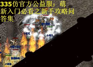 335仿官方公益服：萌新入门必看之新手攻略问答集