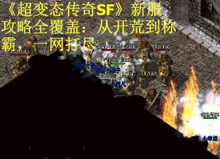 《超变态传奇SF》新服攻略全覆盖：从开荒到称霸，一网打尽