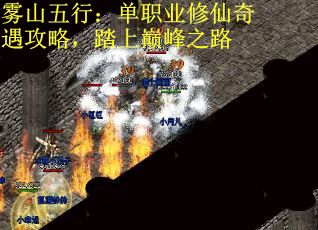 雾山五行：单职业修仙奇遇攻略，踏上巅峰之路