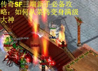 传奇SF三端新手必备攻略：如何从菜鸟变身满级大神